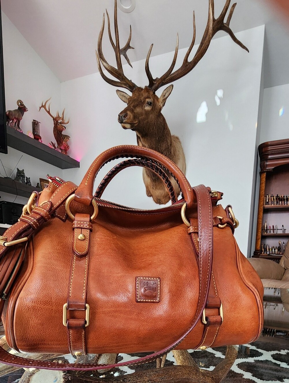 Dooney & Bourke Cognac Leather Satchel with Braided Handles